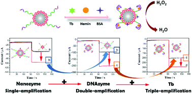 Graphical abstract: A highly sensitive electrochemical cytosensor based on a triple signal amplification strategy using both nanozyme and DNAzyme