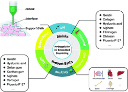 Graphical abstract: Hydrogels for 3D embedded bioprinting: a focused review on bioinks and support baths