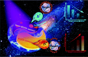 Graphical abstract: Crystal-reconstructed BiVO4 semiconductor photoelectrochemical sensor for ultra-sensitive tumor biomarker detection