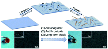 Graphical abstract: Heparinized anticoagulant coatings based on polyphenol-amine inspired chemistry for blood-contacting catheters