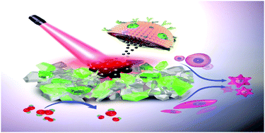 Graphical abstract: Erythrocyte membrane-enveloped molybdenum disulfide nanodots for biofilm elimination on implants via toxin neutralization and immune modulation