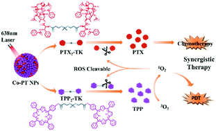 Graphical abstract: Binary dimeric prodrug nanoparticles for self-boosted drug release and synergistic chemo-photodynamic therapy