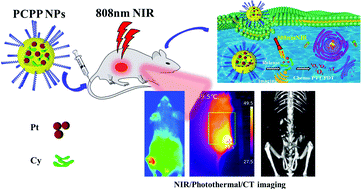 Graphical abstract: A multifunctional platinum(iv) and cyanine dye-based polyprodrug for trimodal imaging-guided chemo–phototherapy
