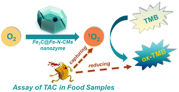 Graphical abstract: In situ generated Fe3C embedded Fe–N-doped carbon nanozymes with enhanced oxidase mimic activity for total antioxidant capacity assessment