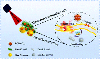 Graphical abstract: A multifunctional carbon dot-based nanoplatform for bioimaging and quaternary ammonium salt/photothermal synergistic antibacterial therapy