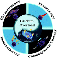 Graphical abstract: Nanoplatform-mediated calcium overload for cancer therapy