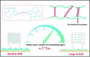 Graphical abstract: Robust, anti-biofouling 2D nanogel films from poly(N-vinyl caprolactam-co-vinylimidazole) polymers