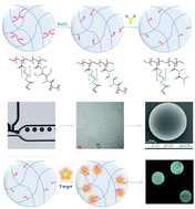 Graphical abstract: PEG-based cleavable hydrogel microparticles with controlled porosity for permiselective trafficking of biomolecular complexes in biosensing applications