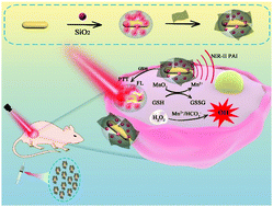 Graphical abstract: NIR-II-responsive AuNRs@SiO2–RB@MnO2 nanotheranostic for multimodal imaging-guided CDT/PTT synergistic cancer therapy