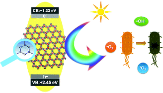 Graphical abstract: New potential of boron-based COFs: the biocompatible COF-1 for reactive oxygen generation and antimicrobial applications