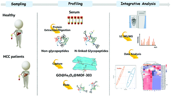 Graphical abstract: A novel hydrophilic MOFs-303-functionalized magnetic probe for the highly efficient analysis of N-linked glycopeptides