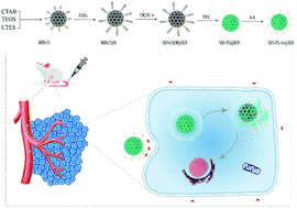 Graphical abstract: A pH-responsive mesoporous silica nanoparticle-based drug delivery system for targeted breast cancer therapy