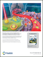 Graphical abstract: Back cover