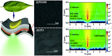 Graphical abstract: Cellulose-based flexible organic light-emitting diodes with enhanced stability and external quantum efficiency