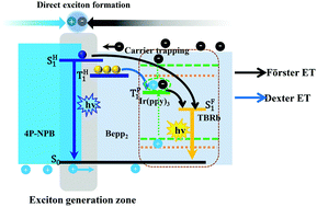 Graphical abstract: High efficiency and long lifetime fluorescent white organic light-emitting diodes by phosphor sensitization to strategically manage singlet and triplet excitons