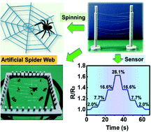 Graphical abstract: Spinnable adhesive functional-hydrogel fibers for sensing and perception applications