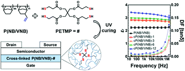 Graphical abstract: Controlling the gate dielectric properties of vinyl-addition polynorbornene copolymers via thiol–ene click chemistry for organic field-effect transistors