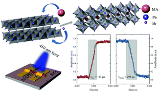 Graphical abstract: Freestanding CH3NH3PbBr3 single-crystal microwires for optoelectronic applications synthesized with a predefined lattice framework