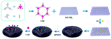 Graphical abstract: Ingenious construction of an electrochemical aptasensor based on a Au@COF/GO-NH2 composite with excellent detection performance