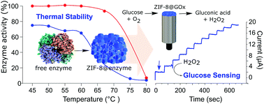 Graphical abstract: Stable MOF@enzyme composites for electrochemical biosensing devices