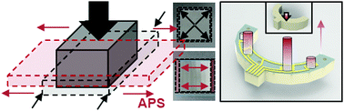 Graphical abstract: Deterministically assigned directional sensing of a nanoscale crack based pressure sensor by anisotropic Poisson ratios of the substrate