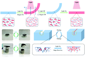 Graphical abstract: Light- and magnetic-responsive synergy controlled reconfiguration of polymer nanocomposites with shape memory assisted self-healing performance for soft robotics