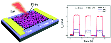 Graphical abstract: Electrochemical epitaxial (200) PbSe submicron-plates on single-layer graphene for an ultrafast infrared response