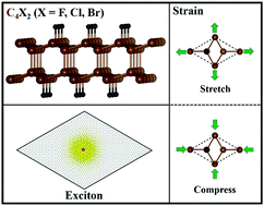 Graphical abstract: Strain effects on stability, electronic and optical properties of two-dimensional C4X2 (X = F, Cl, Br)