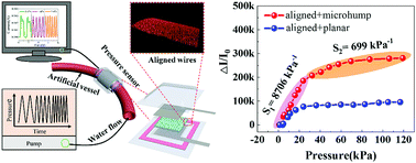 Graphical abstract: Tunable piezoresistivity of low percolation threshold micro-nickel wires/PDMS conductive composite regulated by magnetic field