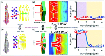 Graphical abstract: A bioinspired switchable selective infrared solar absorber by tunable optical coupling