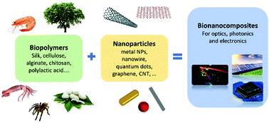 Graphical abstract: An overview of biopolymer-based nanocomposites for optics and electronics