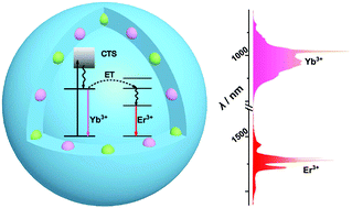 Graphical abstract: A general strategy via charge transfer sensitization to achieve efficient NIR luminescence in lanthanide-doped NaGdS2 nanocrystals