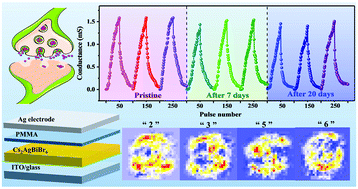 Graphical abstract: An air-stable artificial synapse based on a lead-free double perovskite Cs2AgBiBr6 film for neuromorphic computing