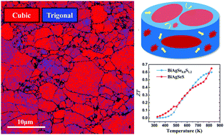 Graphical abstract: Stabilized cubic phase BiAgSe2−xSx with excellent thermoelectric properties via phase boundary engineering