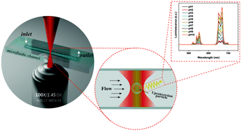 Graphical abstract: A broadband optical pH sensor using upconversion luminescence