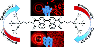 Graphical abstract: Siloxane tethered perylene diimide: from monotropic phase structures to tunable photoconductivity