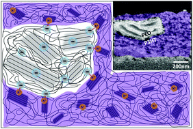 Graphical abstract: Blends of polymer semiconductor and polymer electrolyte for mixed ionic and electronic conductivity