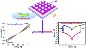 Graphical abstract: MoS2 nanosheets chemically modified with metal phthalocyanine via mussel-inspired chemistry for multifunctional memristive devices