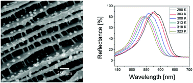 Graphical abstract: Thermo-osmotic metamaterials with large negative thermal expansion