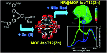 Graphical abstract: Deciphering the behavior of a new MOF and its composites under light at ensemble and single crystal levels: relevance to its photonic applications