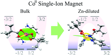 Graphical abstract: Easy-plane to easy-axis anisotropy switching in a Co(ii) single-ion magnet triggered by the diamagnetic lattice