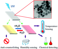 Graphical abstract: Tuning the photoluminescence of lanthanide metal–organic framework nanospheres through ligand-induced phase transition towards sensing