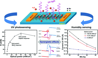 Graphical abstract: Synergistic UV and humidity response of flexible MoS2/Kapton heterointerfaces via photogenerated charge transfer