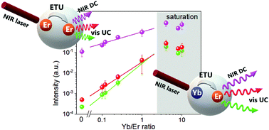 Graphical abstract: The effects of dopant concentration and excitation intensity on the upconversion and downconversion emission processes of β-NaYF4:Yb3+,Er3+ nanoparticles