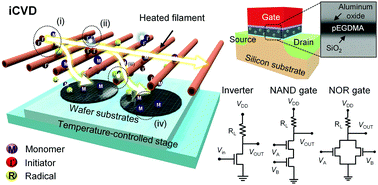 Graphical abstract: Multi-functional logic circuits composed of ultra-thin electrolyte-gated transistors with wafer-scale integration