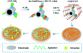 Graphical abstract: Rational incorporation of covalent organic framework/carbon nanotube (COF/CNT) composites for electrochemical aptasensing of ultra-trace atrazine