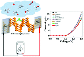 Graphical abstract: Pt-decorated phosphorene as a propitious room temperature VOC gas sensor for sensitive and selective detection of alcohols
