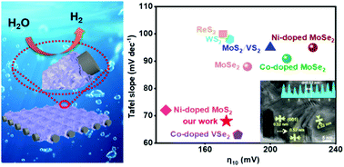 Graphical abstract: Vertically aligned 1T-phase PtSe2 on flexible carbon cloth for efficient and stable hydrogen evolution reaction