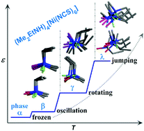Graphical abstract: Four-step thermosensitive dielectric response arising from motionable low-symmetry ammonium confined in deformable supramolecular cages