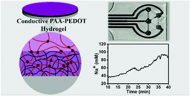 Graphical abstract: Interpenetrating PAA-PEDOT conductive hydrogels for flexible skin sensors